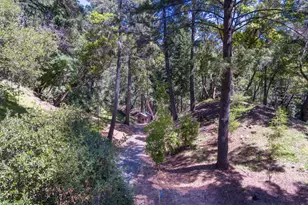 18900 Armstrong Woods Rd, Guerneville, CA 95446 - Photo 13