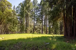 18900 Armstrong Woods Rd, Guerneville, CA 95446 - Photo 41