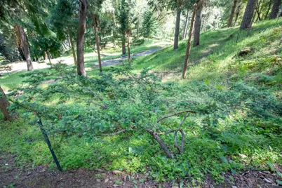 18900 Armstrong Woods Road, Guerneville, CA 95446 - Photo 41