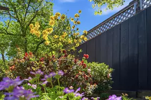 665 4th St, Sonoma, CA 95476 - Photo 29