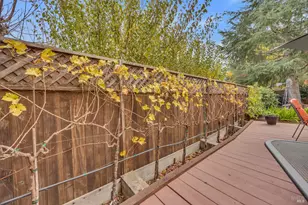 14 Clement Ct, Napa, CA 94558 - Photo 43