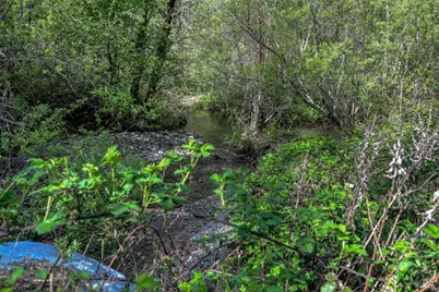 12300 Skaggs Road, Geyserville, CA 95441 - Photo 3