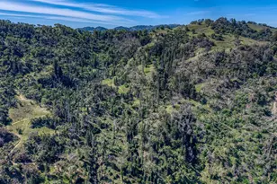 12300 Skaggs Rd, Geyserville, CA 95441 - Photo 51