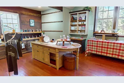 380 Bohemian Highway, Freestone, CA 95472 - Photo 17