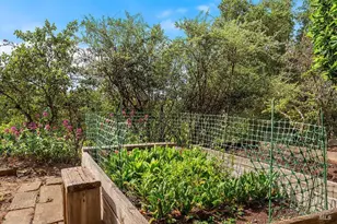 1212 N Fitch Mountain Rd, Healdsburg, CA 95448 - Photo 47