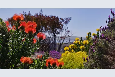 142 Poppy Court, Bodega Bay, CA 94923 - Photo 31