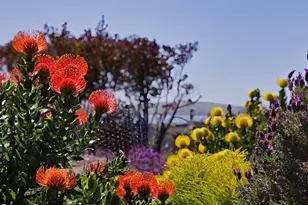 142 Poppy Ct, Bodega Bay, CA 94923 - Photo 31