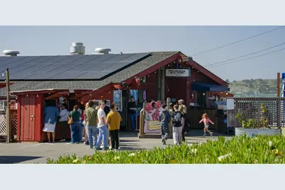 142 Poppy Court, Bodega Bay, CA 94923 - Photo 39