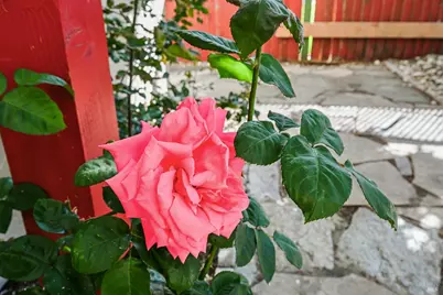 2824 Elk Lane, Santa Rosa, CA 95407 - Photo 29