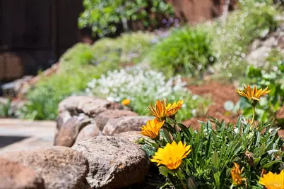 138 Kipling Drive, Mill Valley, CA 94941 - Photo 47