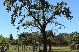 1047 S Wright Rd, Santa Rosa, CA 95407 - Photo 21