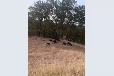 12950 Eagle Rock Road, Hopland, CA 95449 - Photo 11