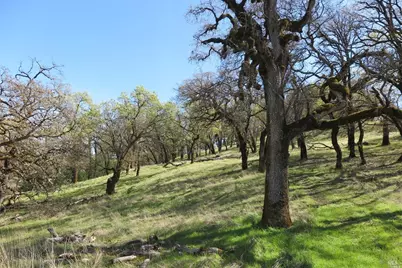 12950 Eagle Rock Road, Hopland, CA 95449 - Photo 3