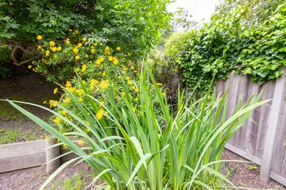 10 Park Avenue, Bolinas, CA 94924 - Photo 23