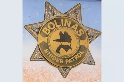 10 Park Avenue, Bolinas, CA 94924 - Photo 39