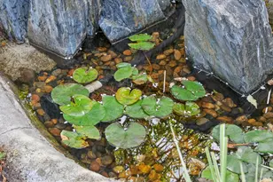 30 Rollingwood Dr, San Rafael, CA 94901 - Photo 35