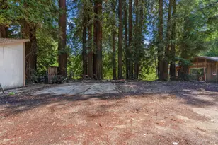10991 River Rd, Forestville, CA 95436 - Photo 7
