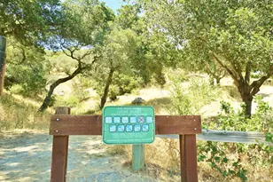 184 Cobblestone Dr, San Rafael, CA 94903 - Photo 89