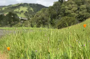 184 Cobblestone Dr, San Rafael, CA 94903 - Photo 91