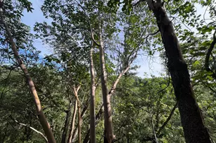 321 Portofino Way, Cloverdale, CA 95425 - Photo 55