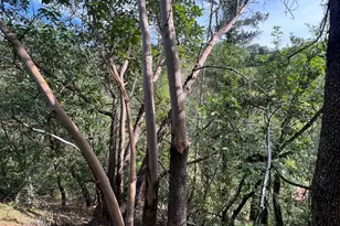 321 Portofino Way, Cloverdale, CA 95425 - Photo 57