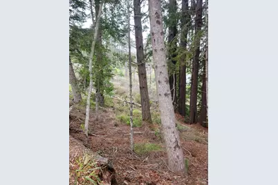 34601 S Highway 1, Gualala, CA 95445 - Photo 27