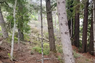 34601 S Hwy 1, Gualala, CA 95445 - Photo 27