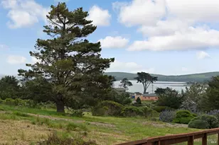 1534 Hwy 1, Bodega Bay, CA 94923 - Photo 39