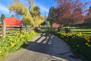 11957 Bodega Hwy, Sebastopol, CA 95472 - Photo 45