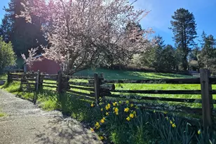 11957 Bodega Hwy, Sebastopol, CA 95472 - Photo 43