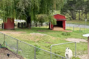 11957 Bodega Hwy, Sebastopol, CA 95472 - Photo 35