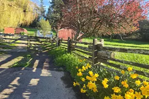 11957 Bodega Hwy, Sebastopol, CA 95472 - Photo 47