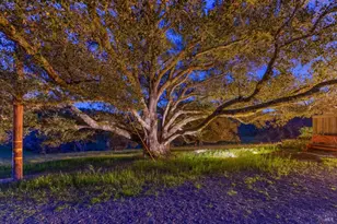 [Address not provided], Sonoma, CA 95476 - Photo 57