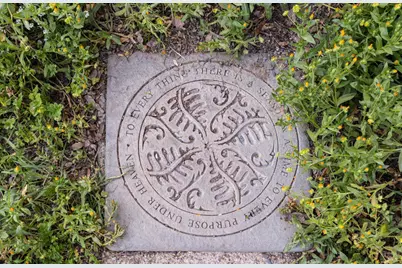 [Address not provided], Sonoma, CA 95476 - Photo 41