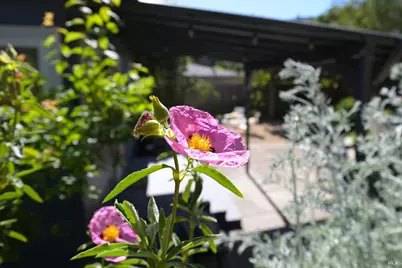 115 Myrtle Avenue, San Rafael, CA 94901 - Photo 37