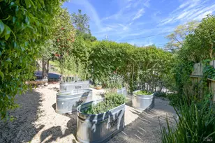 115 Myrtle Ave, San Rafael, CA 94901 - Photo 45