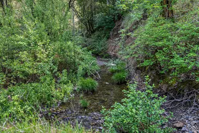 12300 Skaggs Road, Geyserville, CA 95441 - Photo 5