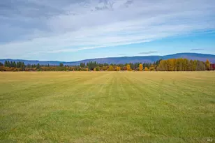 41579 Osprey Rd, Fall River Mills, CA 96028 - Photo 11