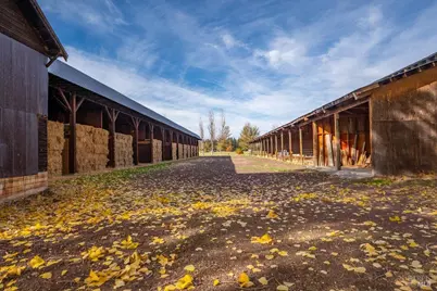 41579 Osprey Road, Fall River Mills, CA 96028 - Photo 55