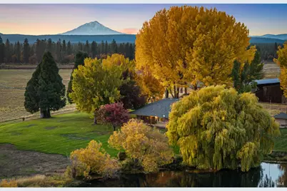 41579 Osprey Road, Fall River Mills, CA 96028 - Photo 9