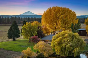 41579 Osprey Rd, Fall River Mills, CA 96028 - Photo 9