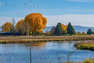 41579 Osprey Rd, Fall River Mills, CA 96028 - Photo 37