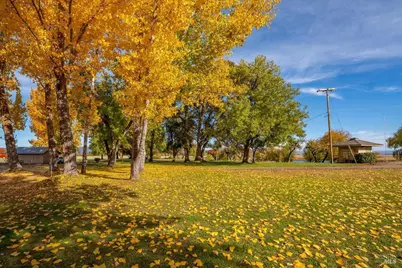 41579 Osprey Road, Fall River Mills, CA 96028 - Photo 57