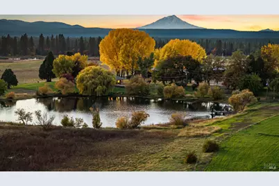 41579 Osprey Road, Fall River Mills, CA 96028 - Photo 1