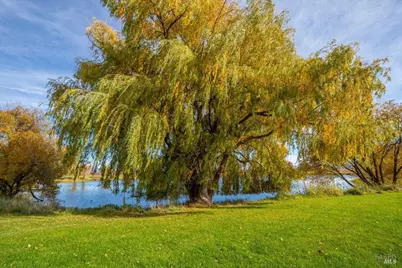 41579 Osprey Road, Fall River Mills, CA 96028 - Photo 59