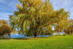 41579 Osprey Rd, Fall River Mills, CA 96028 - Photo 59