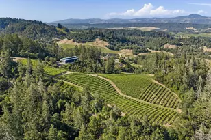 2355 W Dry Creek Rd, Healdsburg, CA 95448 - Photo 5