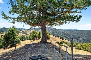 5650 High Point Rd, Willits, CA 95490 - Photo 27