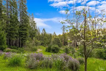 12076 Cloud Ridge Road, Healdsburg, CA 95448 - Photo 41