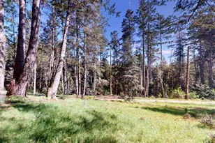 918 River Beach Rd, The Sea Ranch, CA 95497 - Photo 5